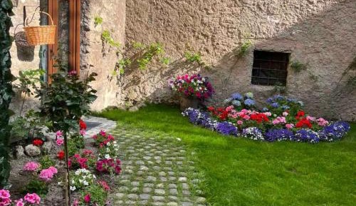 King Room with Garden View