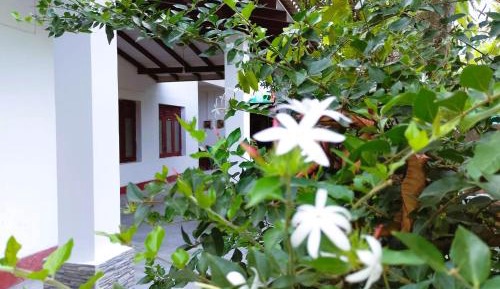 Villa with Garden View