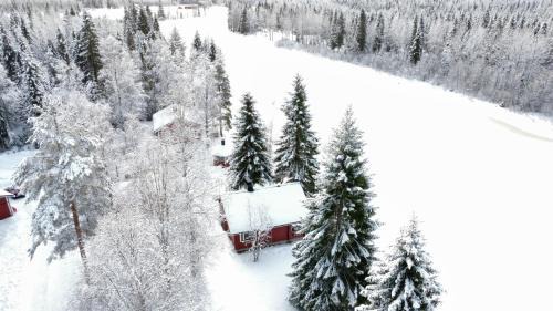 One-Bedroom Chalet