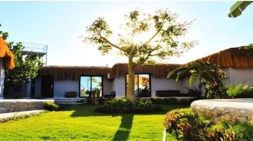 Bungalow - Beach Front