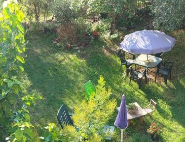 Family Double Room