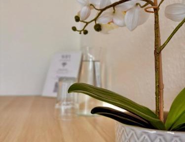 Single Room with Shared Bathroom