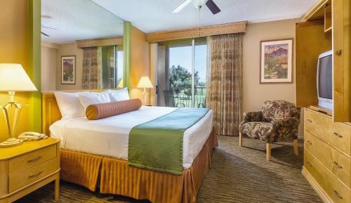 One-Bedroom Condo