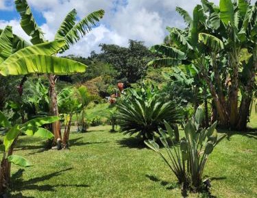 Deluxe Double or Twin Room with Balcony