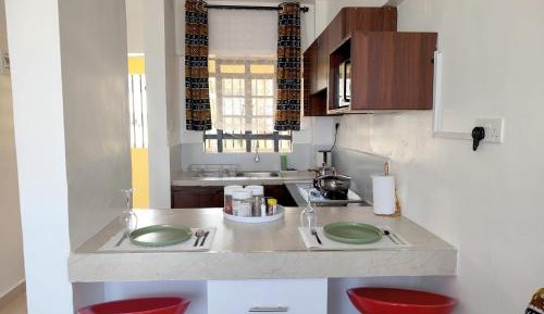 One-Bedroom Apartment with City View