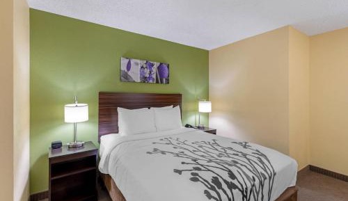 Queen Room