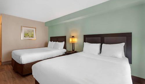 Queen Room with Two Queen Beds