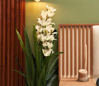 King Room with Spa Bath
