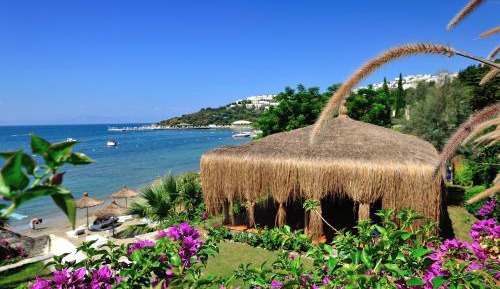 Double Room with Sea View