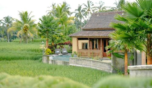 One Bedroom Private Pool Villa with Rice Field View
