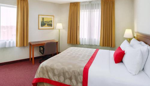 King Room - Non-Smoking