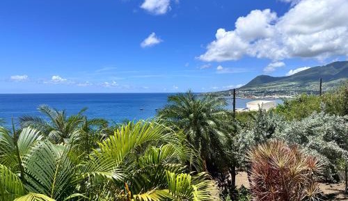 Two-Bedroom Apartment with Ocean View