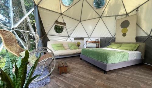 Dome 4 people (Zen)