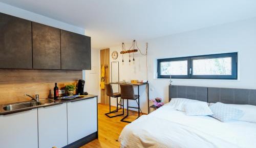 One-Bedroom Apartment with Garden View