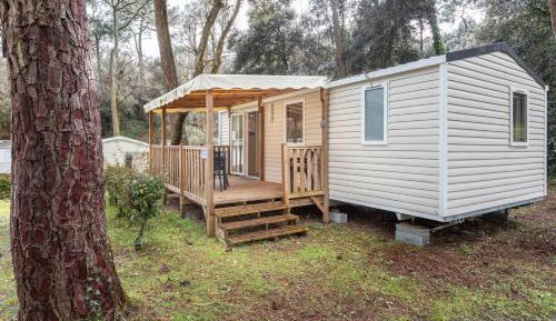 Two-Bedroom Superior Apartment