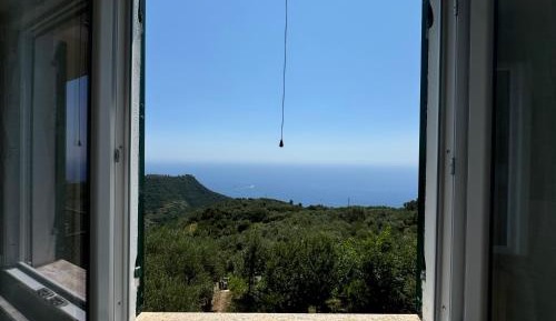 One-Bedroom Premium Apartment with Ocean View