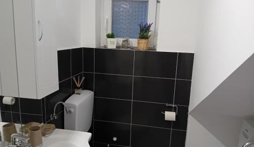 Deluxe One-Bedroom Apartment
