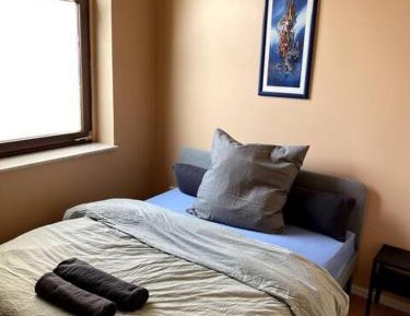Deluxe One-Bedroom Apartment
