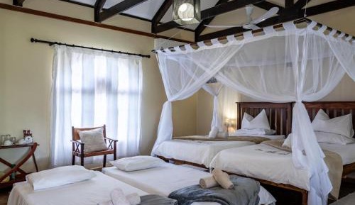 Standard Family Room