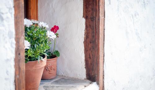 Double or Twin Room with Private Bathroom - Buganvilla