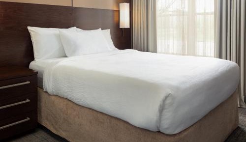 One-Bedroom King Studio Suite with Roll-In Shower and Sofa Bed