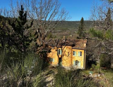 Junior Suite with Terrace and Park View - Figuier