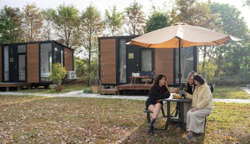 Mobile Home