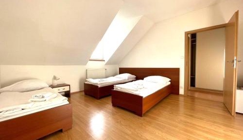 Basic Triple Room