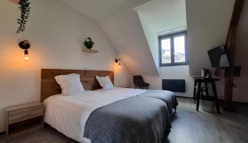 Double or Twin Room with Mountain View