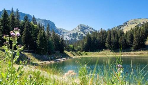 Holiday Home (8 Adults)