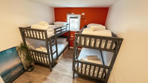 Bed in 6-Bed Dormitory Room