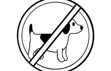 Junior Suite with Garden View