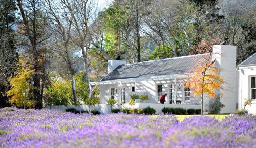 Honeymoon Suite with Lavender View
