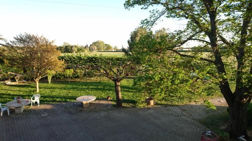 Junior Suite with Terrace