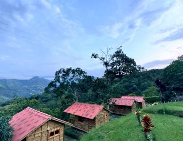 Double Room with Mountain View