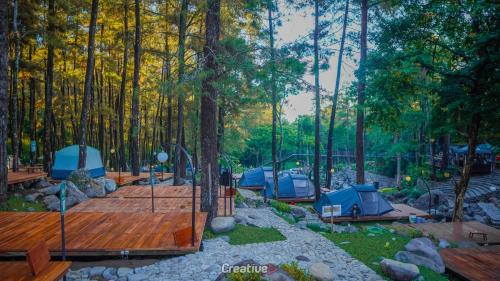 Tent