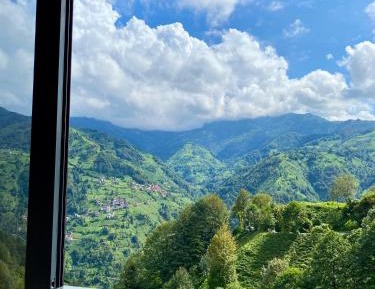 Suite with Mountain View