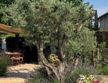 Family Room with Private Bathroom