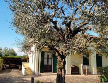 Two-Bedroom Apartment with Garden View