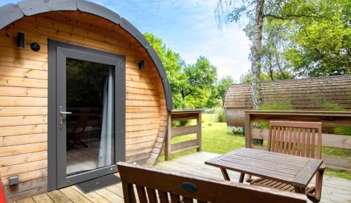 Superior One-Bedroom Apartment