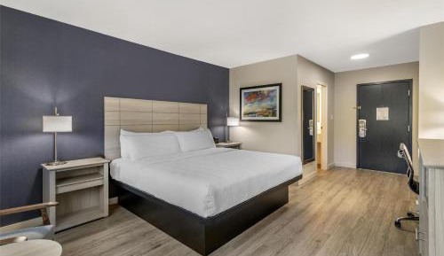 King Room with Walk-In Shower - Pet Friendly/Non-Smoking