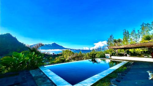 Double Room with Mountain View