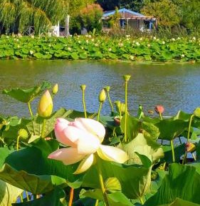 Three-Bedroom Chalet