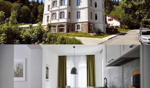 Studio Apartment