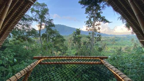 One-Bedroom Jungle Villa