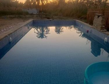King Room with Pool View