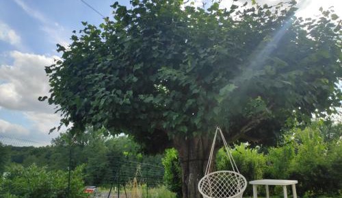 Double Room with Terrace