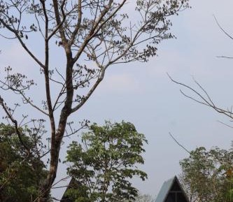 Double Room with Park View
