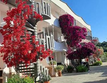One-Bedroom Standard Apartment