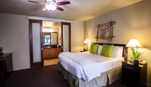 King Room with Terrace